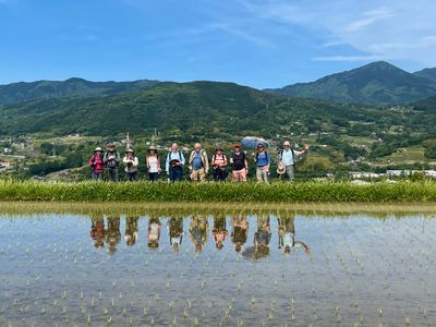 At the rice fields