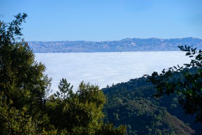 Above the clouds