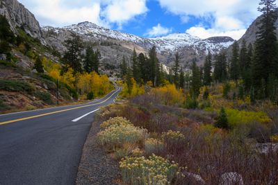 Some Fall colors