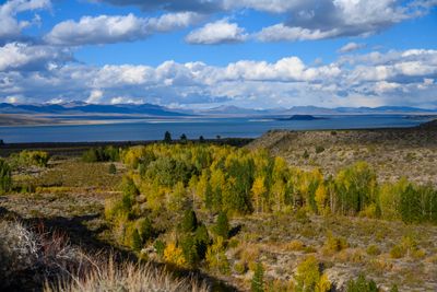 Mono Lake