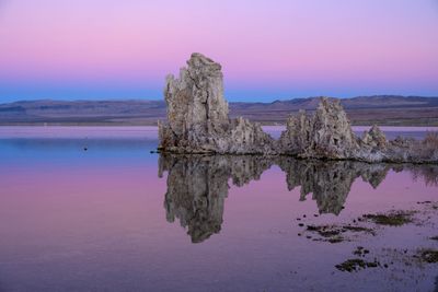Belt of Venus