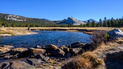 Tuolumne Meadows