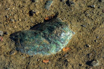 Serpentine: California's State Rock