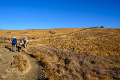 Brown trail