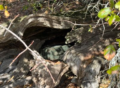 A Geocache
