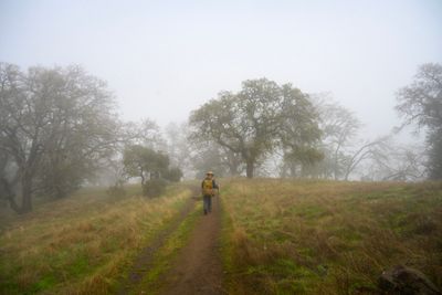 A very foggy hike