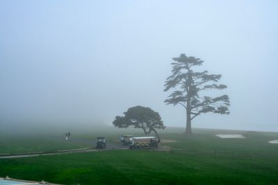 Foggy Pebble Beach Golf Course