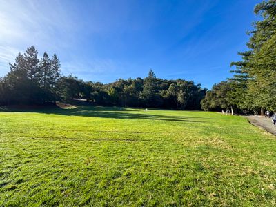 A nice park