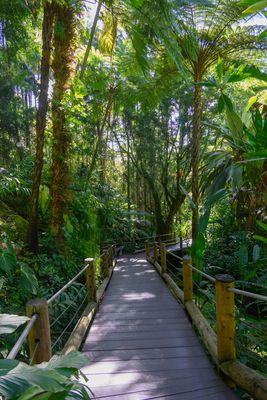Hawai'i Tropical Botanical Garden