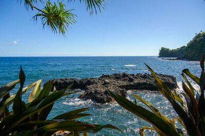 Onomea Bay
