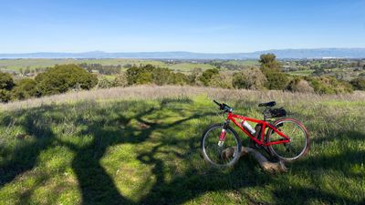 Enjoying the Green landscape