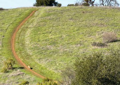 Sharing the trail