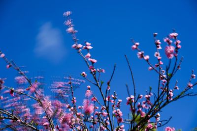 A Windy day