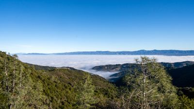 2025 PAD - When I can