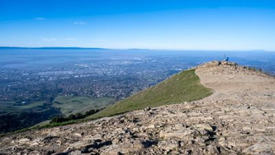 2025 PAD - When I can