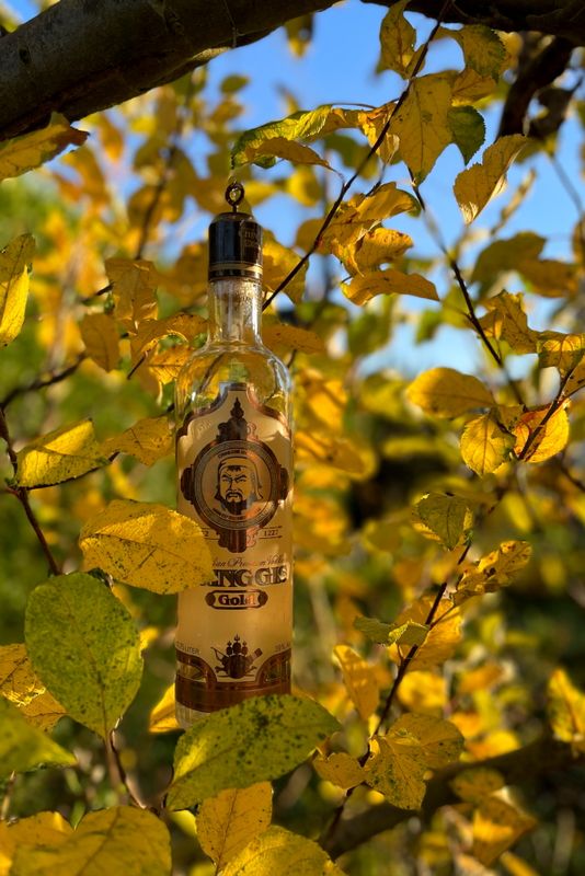 Vodka Gingis