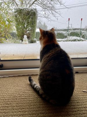 Jour de neige