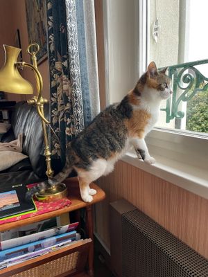 Regard vers le jardin