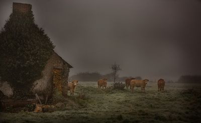 hiver aubign racan.jpg