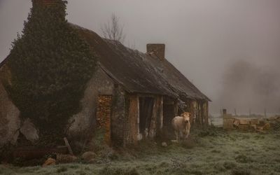 hiver aubign racan2.jpg