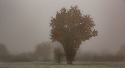 aubign.jpg