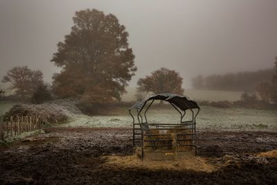 le foin sarthe.jpg
