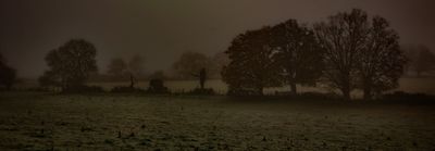 paysage hiver.jpg