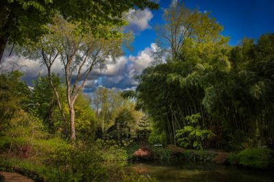 Jardin du Petit Bordeaux