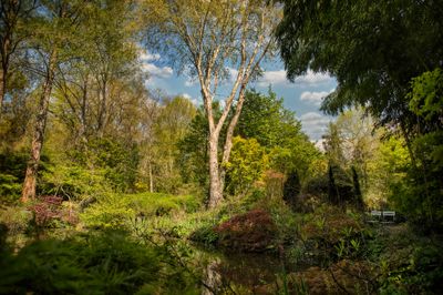 Jardin du Petit Bordeaux