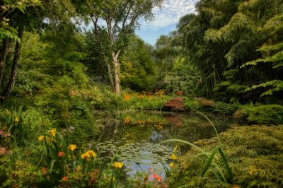 Jardin du Petit Bordeaux