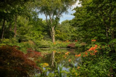 Jardin du Petit Bordeaux