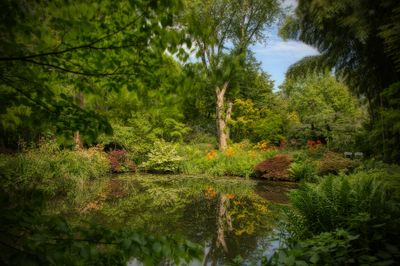Jardin du Petit Bordeaux