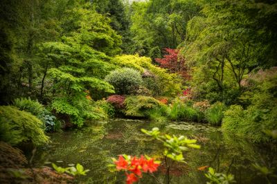 Jardin du Petit Bordeaux