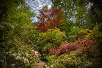 Jardin du Petit Bordeaux