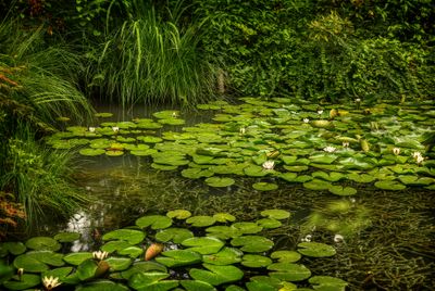 Jardin du Petit Bordeaux