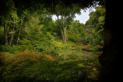 Jardin du Petit Bordeaux