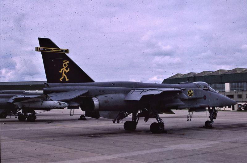 RAF Jaguar GR1 16 Sqn.jpg