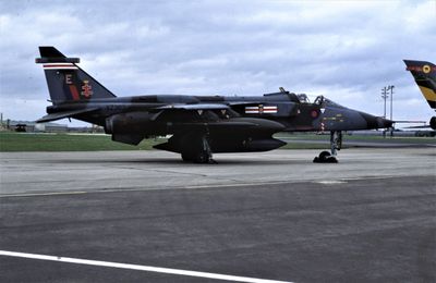 RAF Jaguar GR1 XZ362 E 41 Sqn.jpg