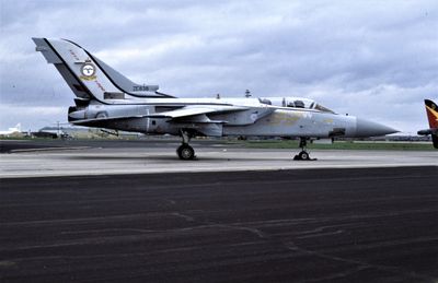 RAG Tornado F3 ZE838 25 Sqn.jpg