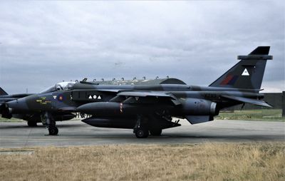 RAF Jaguar GR1 XZ113 30 2 Sqn.jpg