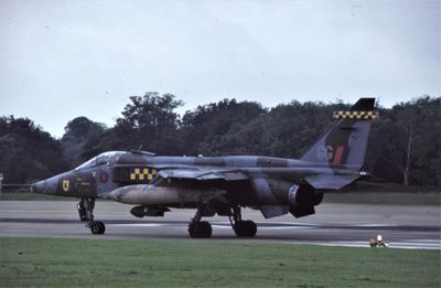 RAF Jaguar GR1 XZ117 GG 54 Sqn.jpg