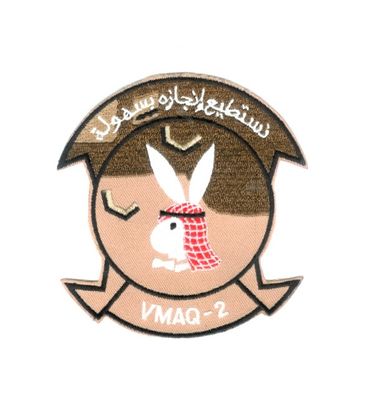 VMAQ 2 PLAYBOYS/PANTHERS