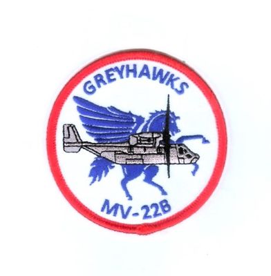 VMM 161 GREYHAWKS