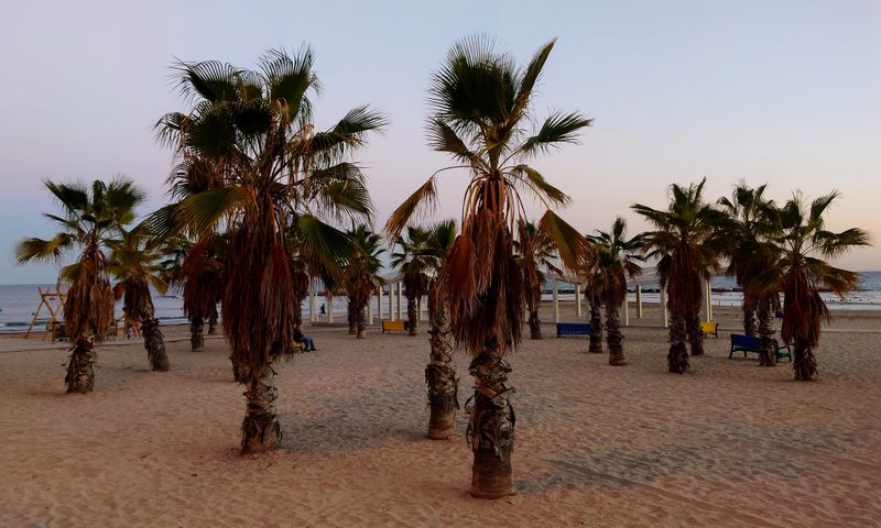 20231124_175736~2_PB.JPG