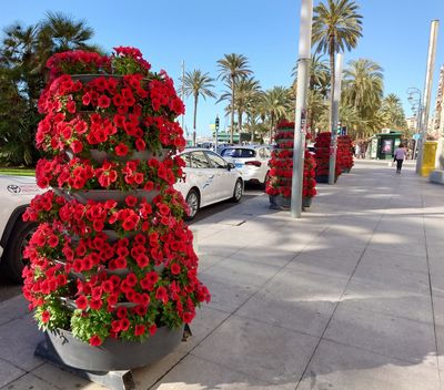2025-03-30_102230_PB.jpg