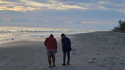 20241108_171933.jpg
