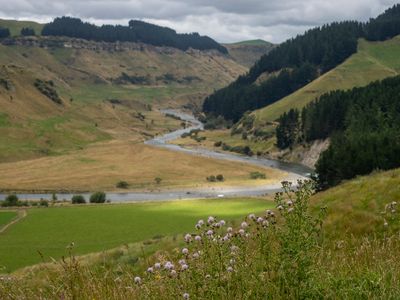 Meandering
