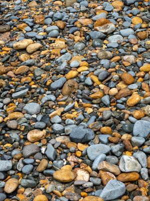 Sailors Grave Beach Hike