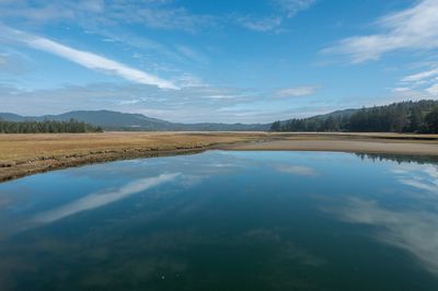 Estuary at Whalen Island