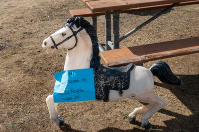 CO mascot